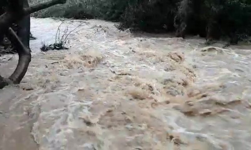 גשמי ברכה &bull; תוך יום: מפלס הכינרת רשם זינוק אדיר