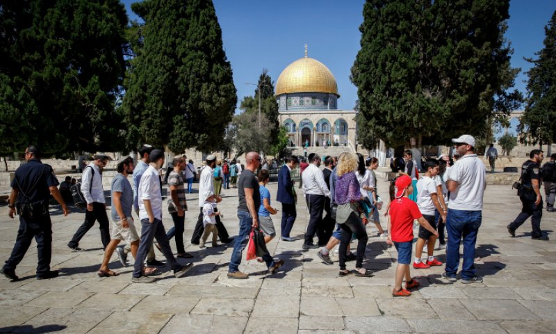 שיא חדש: כמה יהודים התפללו בהר הבית ב- 2019?