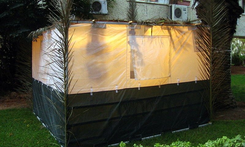 פטיש מסמר: מילון המונחים השלם של בניית הסוכה