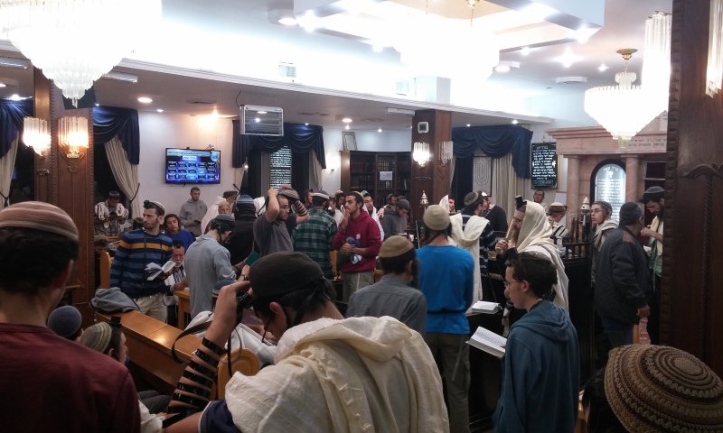 "נילחם עד זוב דם; יהיו כאן הרוגים ומתאבדים"