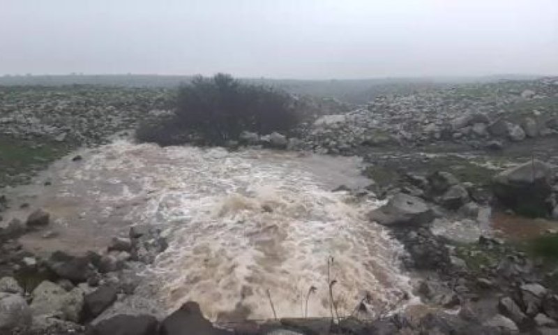 עוד עלייה אדירה: מפלס הכנרת מתקרב לקו האדום