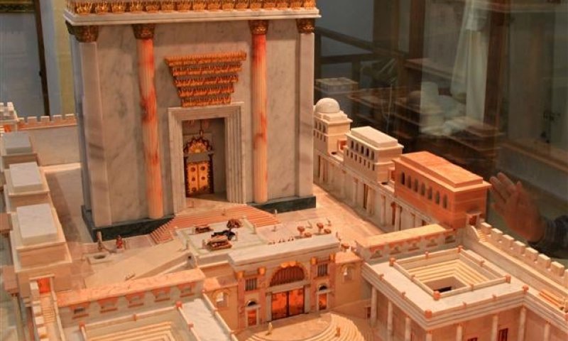 תנועות המקדש דנות בתכניות לחידוש הקרבת קרבנות