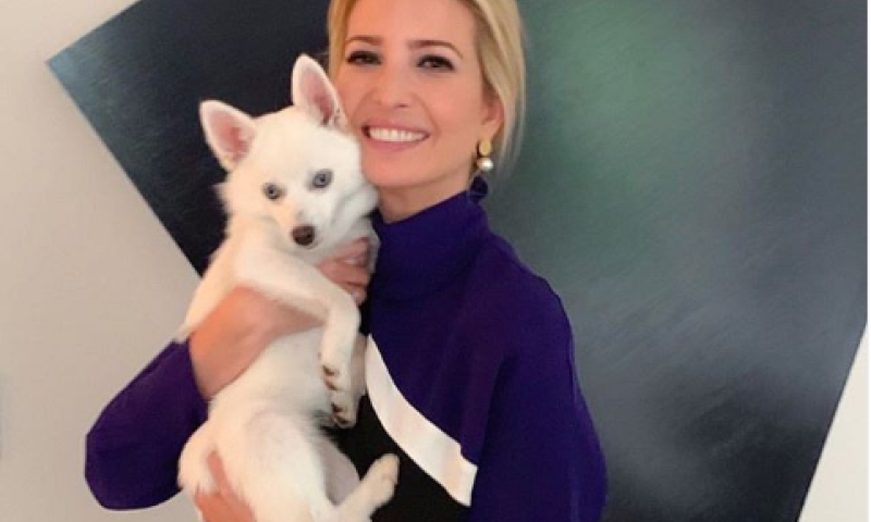 צלב קרס? הבגד של איוונקה טראמפ מעורר סערה ברשת