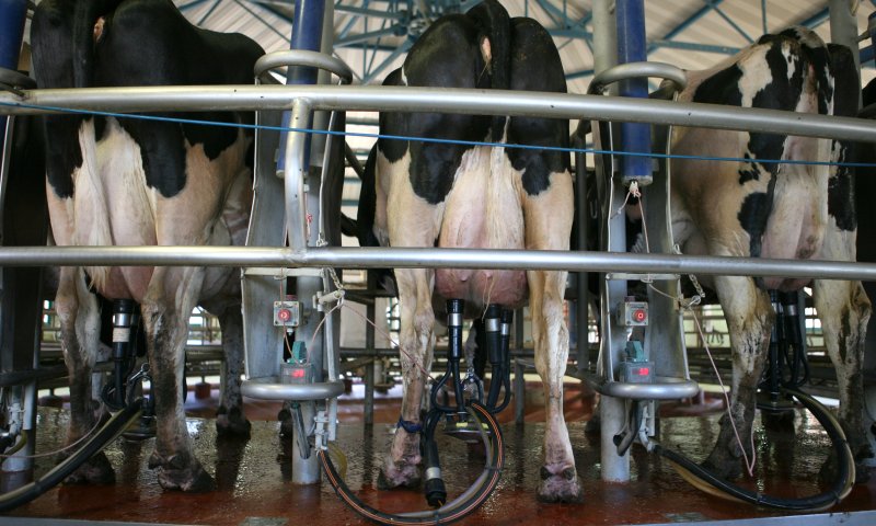 חרם נגדי: להפסיק לייבא חלב מתוצרת אירופית