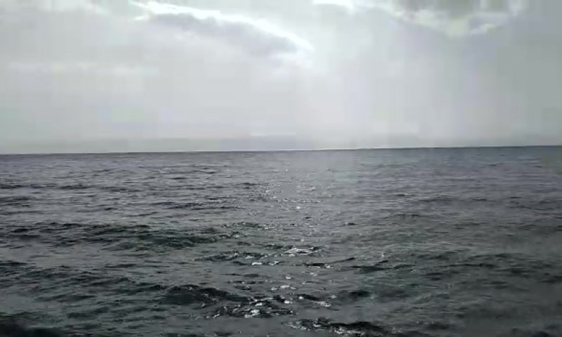 לא עוצר: מפלס הכנרת בעוד נתון שיא