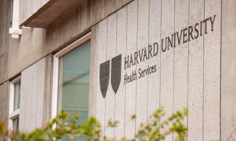 נשיאת הראוורד: "רצח עם ביהודים" לא מפר כללים