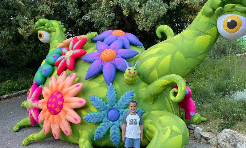 "בוטניפלצת" &ndash; הגן שהפך למסע קסום מהאגדות