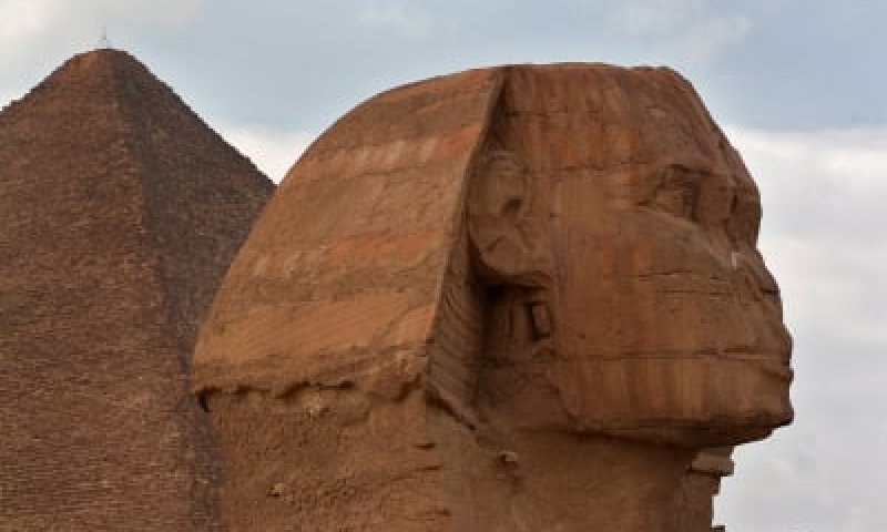 פרשת בא: כשעם ישראל עשה את מה שנראה כבלתי סביר