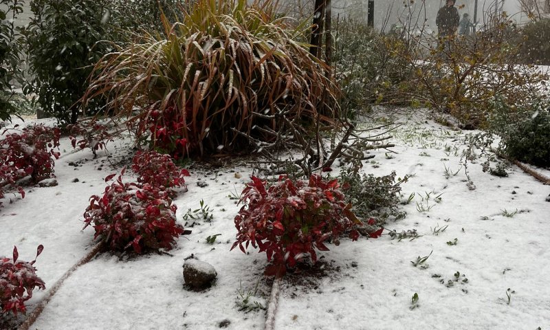 סוף סוף: שלג בצפון, זרימות אדירות בנחלים. צפו