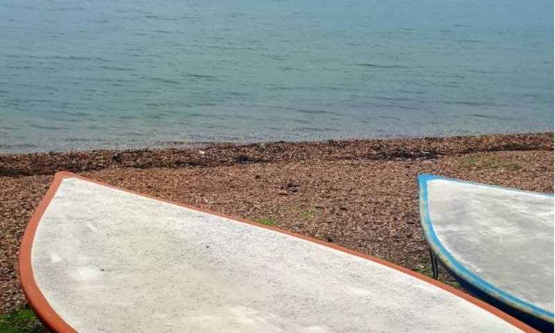 גשמי ברכה: מפלס הכנרת ממשיך לטפס