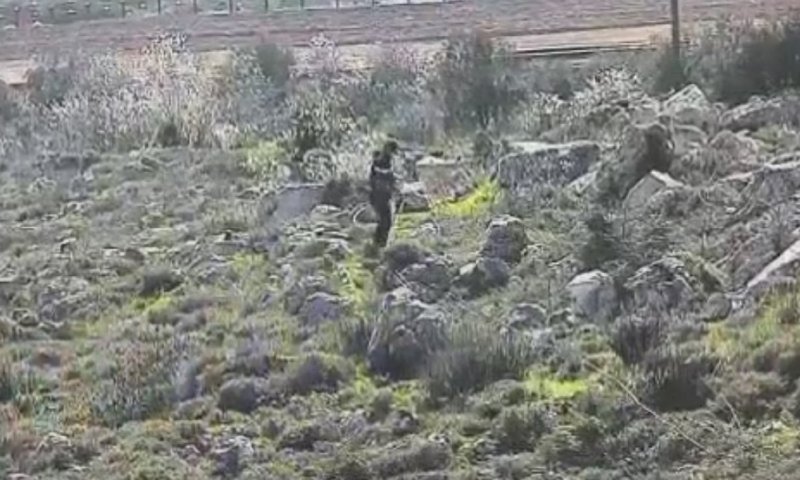 זה הזמן לפעול נגד הפלישה הפלסטינית