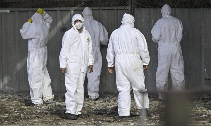 מדאיג: שפעת עופות התגלתה בלולים במרכז הארץ