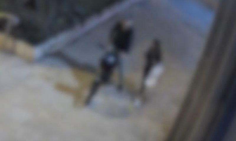 פוענח הרצח האכזרי של שירלי יהודה: "הצית ונמלט באופניים"