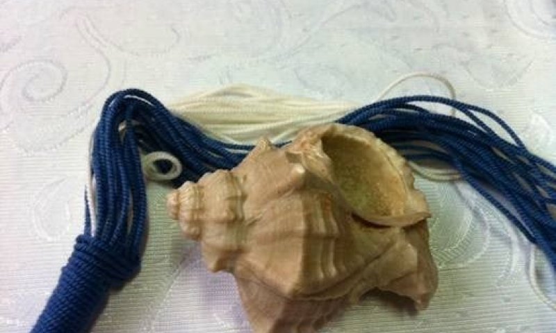 פרויקט שאפתני פועל להוזלת צבע התכלת לציצית