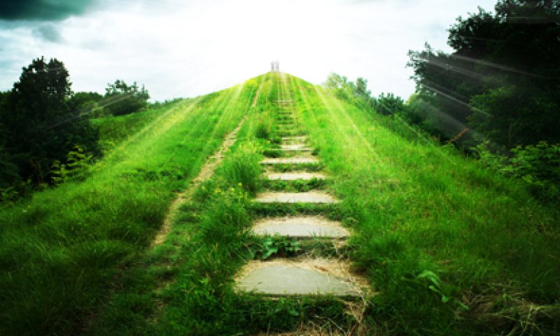 למכירה: גן עדן מיוצא בשאלה ב-100,000 דולר