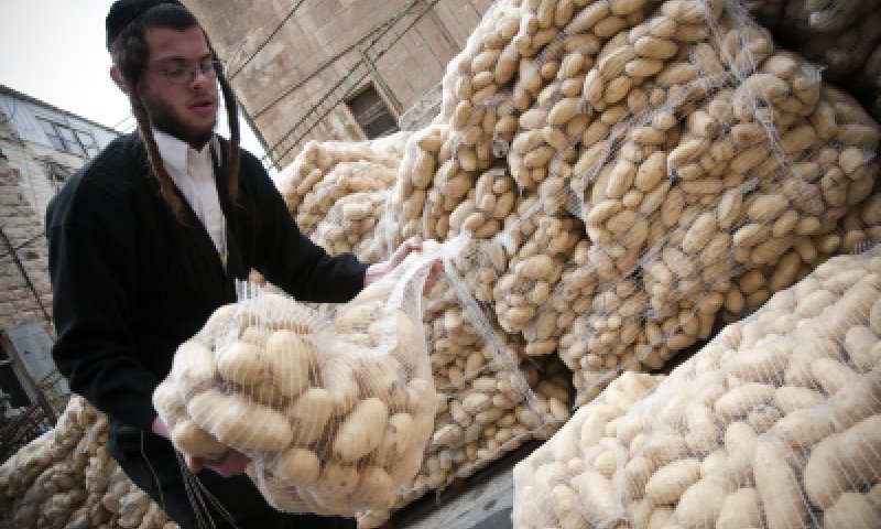 בגלל המחסור: לפיד אישר יבוא נוסף של 6,000 טון תפוחי אדמה