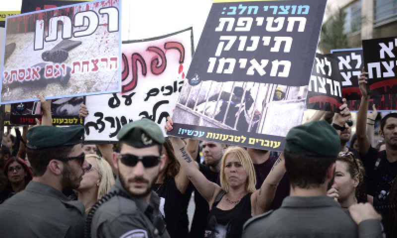 שו"ת: צער בעלי חיים מונע מתן תעודת כשרות?