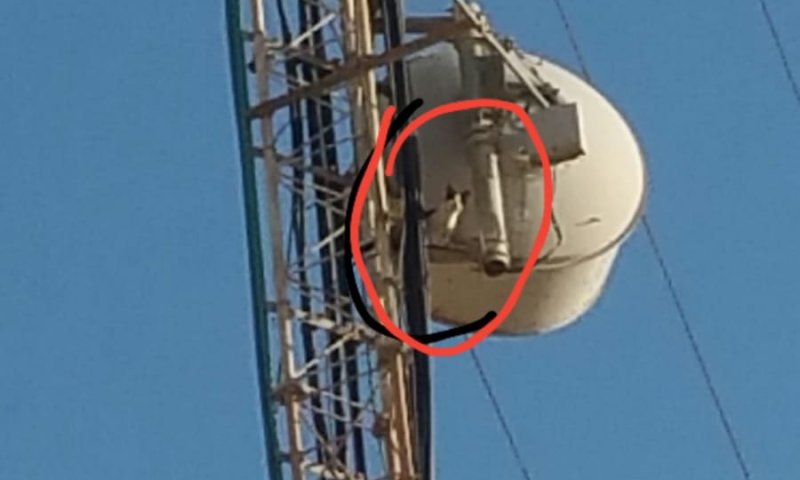 כך חולצה חתולה שנתקעה באנטנה גובה 45 מ'