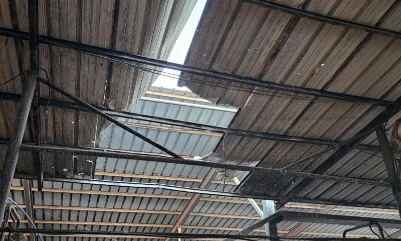 רקטה נפלה בתוך רפת בעין השלושה: שלוש פרות נהרגו