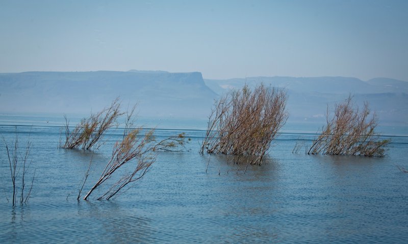 ראש רשות המים: "סכר דגניה עוד ייפתח שוב"