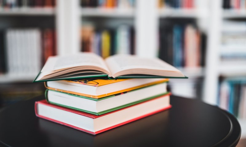 "כוחו של הכלב" | קפיצה לשנות העשרים