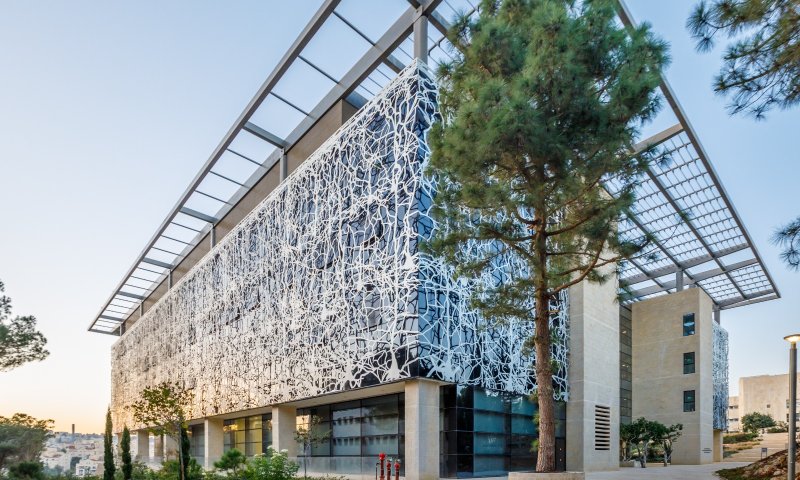 מרצה בכירה באונ' העברית: "היהודים צריכים לפחד"