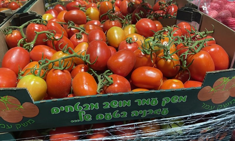 דרום אדום: צה"ל חזר לקנות עגבניות מעוטף עזה