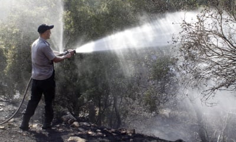 שתי שריפות ענק בהרי ירושלים ובכרמל; חשד להצתה