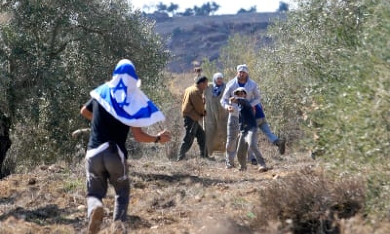 פרשת חיי שרה מלמדת: אסור לגזול קרקעות של ערבים