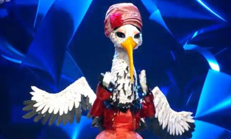 צפו: הדמות המפתיעה מאחורי החסידה &ndash; נחשפה