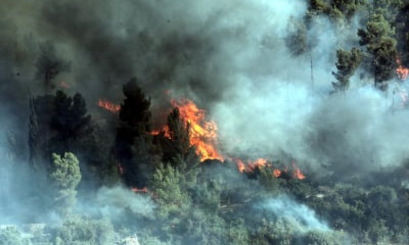 תמונות משרפת הענק שמשתוללת בפאתי ירושלים