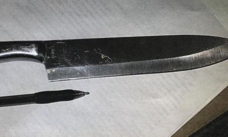 מעצר בתיכון: סוכל פיגוע דקירה בבית ספר בפלורידה