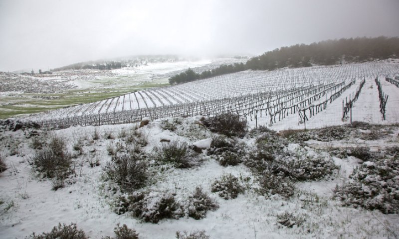 גשום וסוער; שלג בירושלים ובנגב: תחזית מזג אוויר