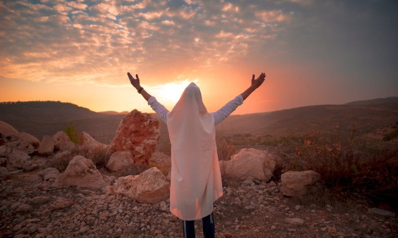 הרב אהרן ליכטנשטיין בספר חדש: "רוח אביב"