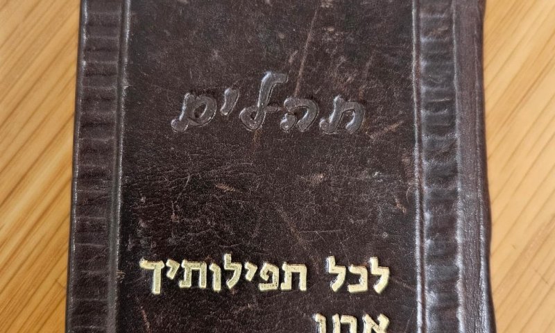 ספר התהילים מגידי גוב חזר לארץ