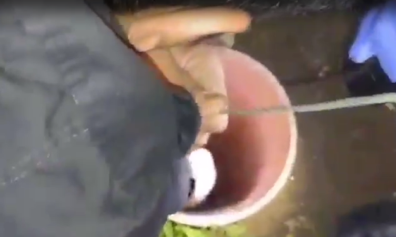 צפו: ילד בן 4 נפל לבור וחולץ באמצעות מוט ללכידת בעלי חיים