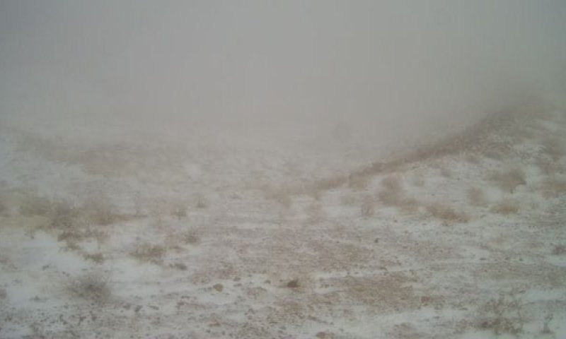 קצת לבן בעיניים: שלג ראשון ירד הלילה באתר החרמון