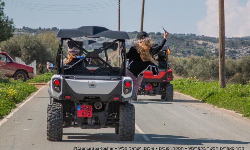 יום הסלפי הבינלאומי: נרקיסיזם או שחרור מטפיזי