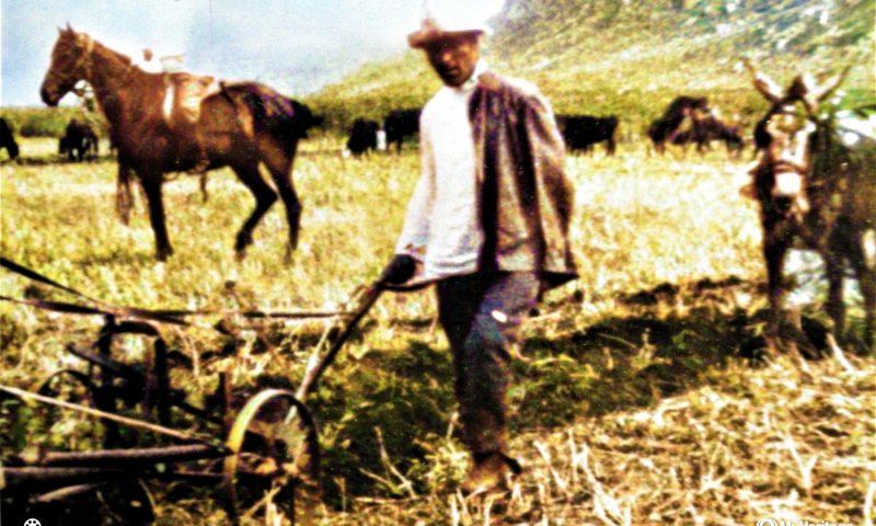 מסמך נדיר: הגבורה היהודית של טרומפלדור הגיעה מאביו