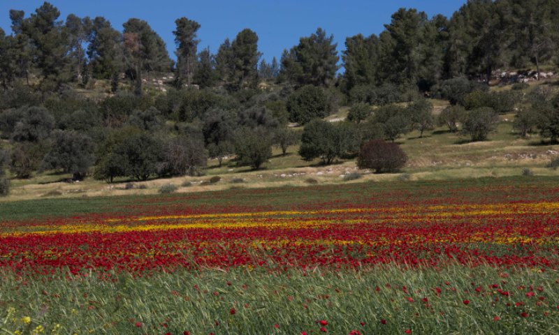 בחול המועד סוכות: קידום הבריאות יוצא לחיק הטבע