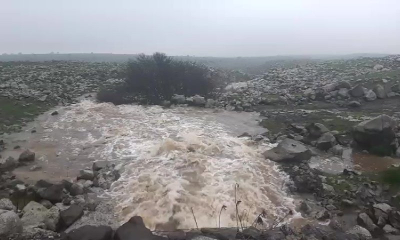 עוד עלייה נאה: מפלס הכנרת בדרך לקו האדום