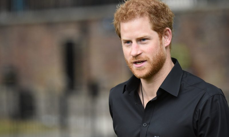 ירגיז את הממלכה? נחשף שם הספר של הנסיך הארי