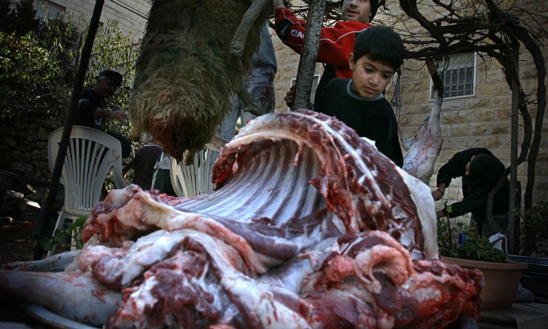 אכילת בשר היא בסך הכל תאווה ייצרית, אז למה?