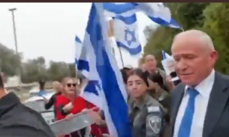 צפו: מפגינת שמאל היכתה את השר דיכטר בראשו