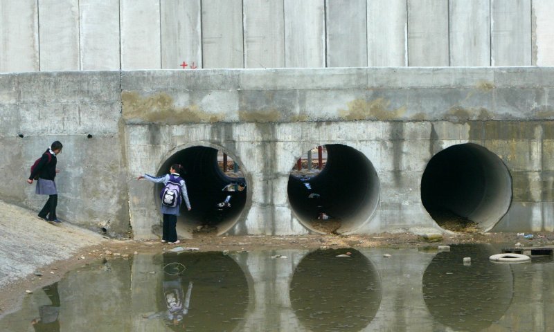 העמותה נפסלה כי חשפה זיהומים של פלסטינים