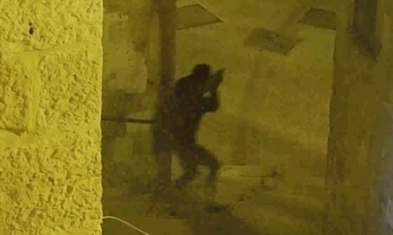 צפו: המחבל שלף נשק מאולתר וירה לכל עבר