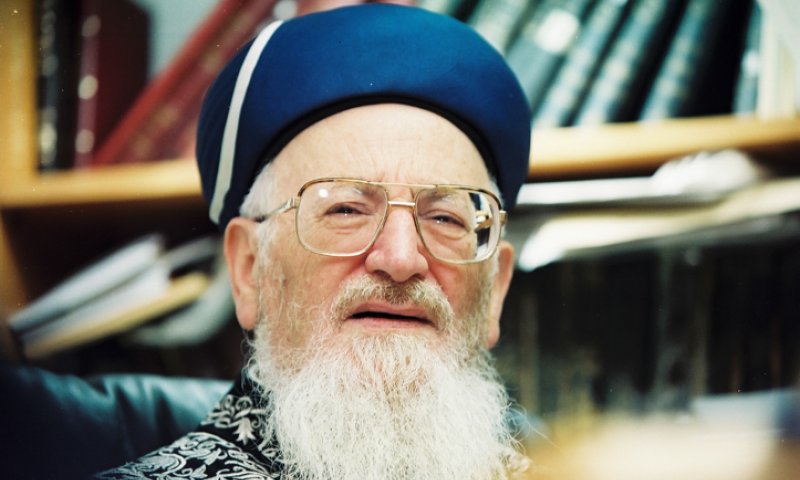 "אם אנחנו רוצים משיח &ndash; צריכים עוד ילד בעולם"