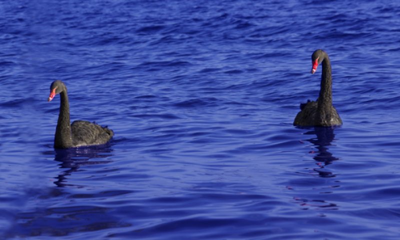 אחת ולתמיד: מה עדיף &ndash; בני זוג שהם דומים או הפכים?