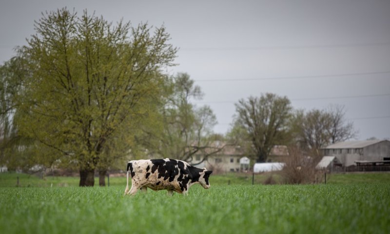 בעקבות הקיצוץ: הוכרזה שביתה במשרד החקלאות