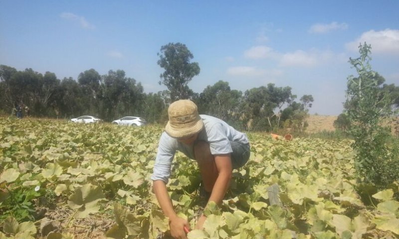 "כואב הלב לראות את כל השרוף מסביבנו"